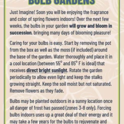 Menu Marvelous Potted Bulb Garden -US Garden Plants Sales 2024 living gardens instructions 26